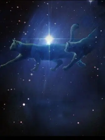 Leaffy의 {~★StarClan★~}
