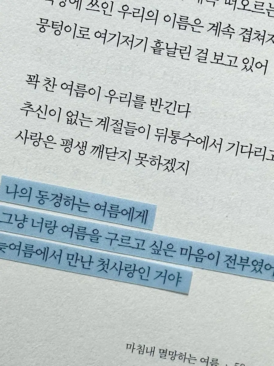 0n1.n의 雨と太陽の幸せ。(비와 해의 행복)