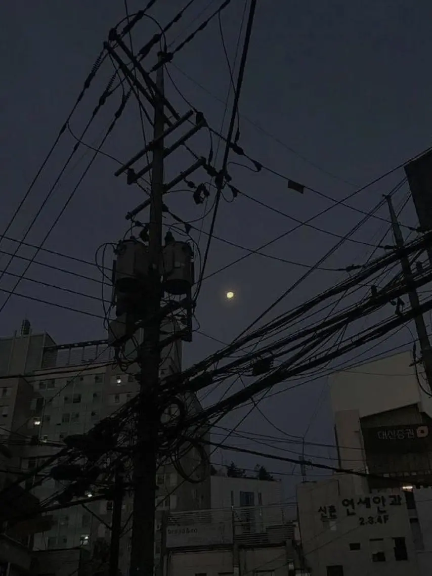 PeachyLid3416의 잘못 들어선 골목길