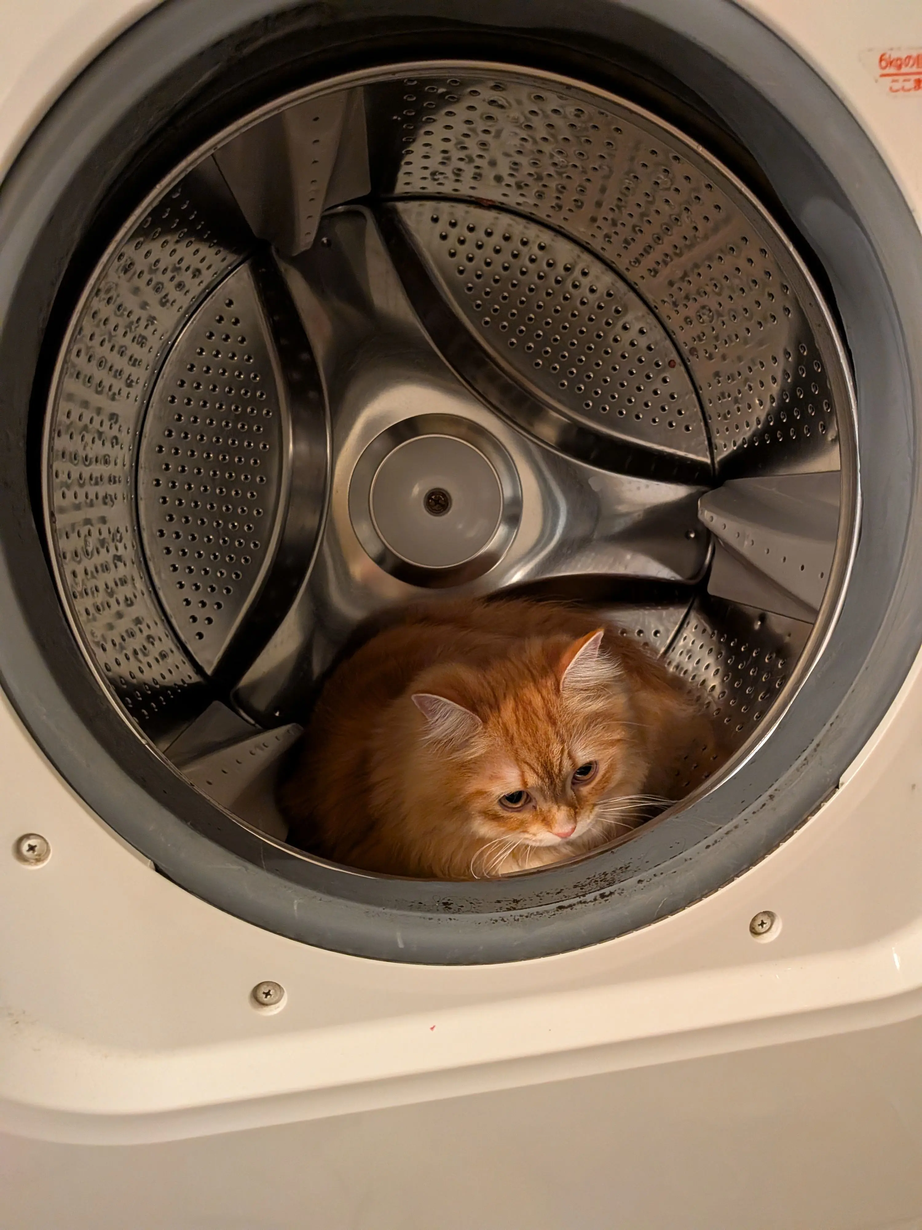 ______Miran__ILoveYou의 地 雷  。