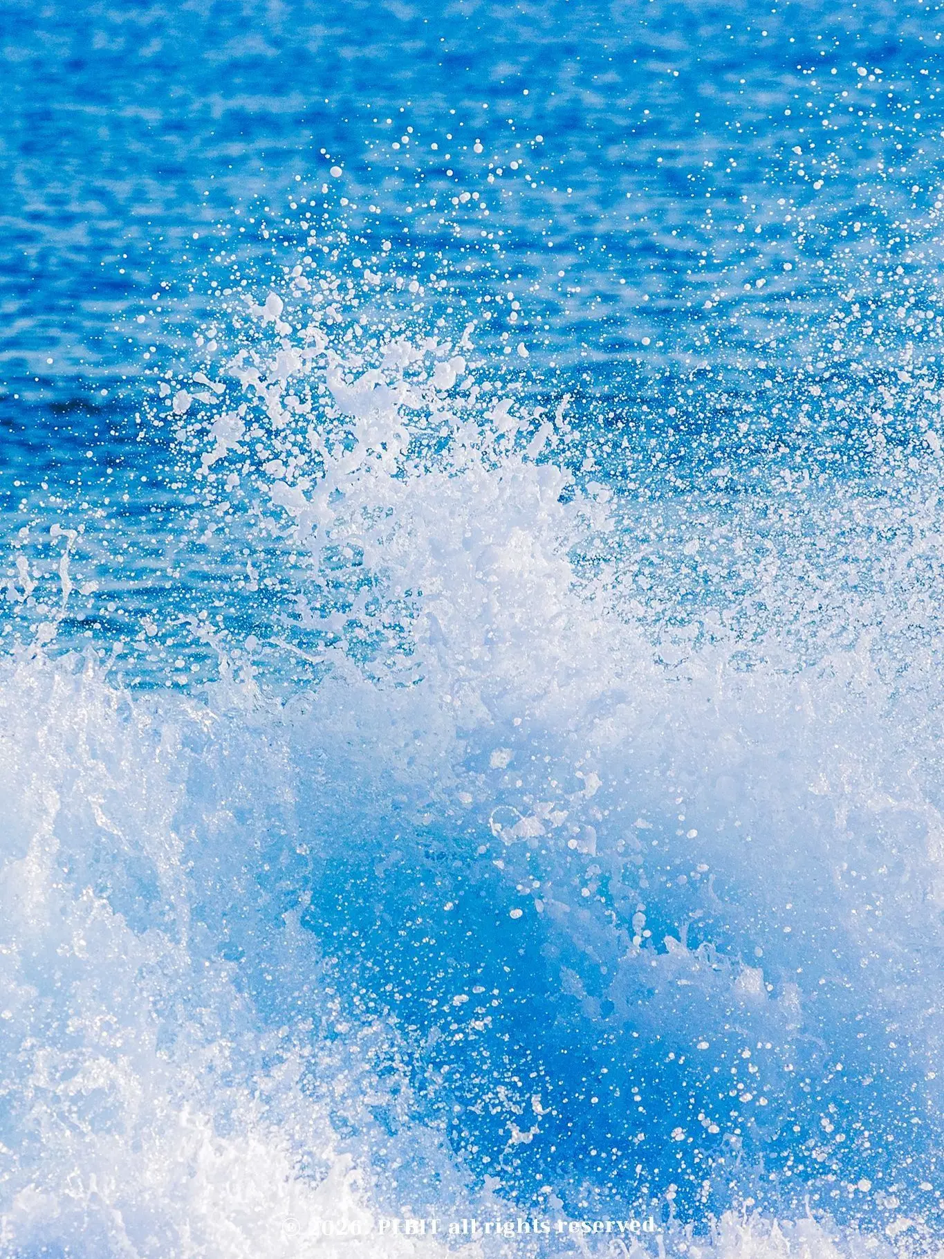 LUNA0408의 하긴 하는데