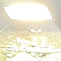 CloudyBlood9367의 오비스트 조직 당신이 막내