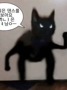 ThickBog3744의 1등 태권도, 파워점핑 줄넘기(동거)