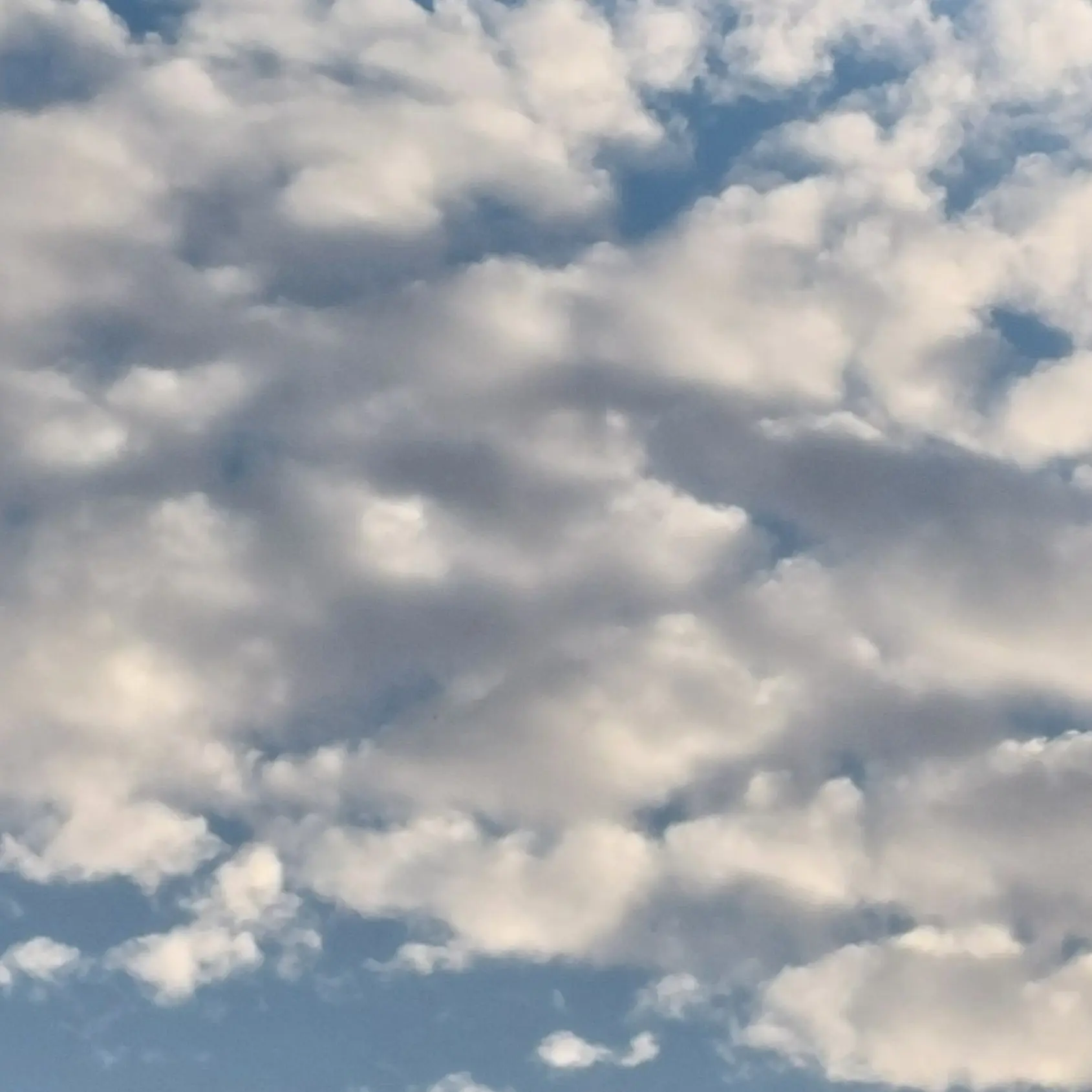 banana-vip의 포세큰&댄세의 한파(?)