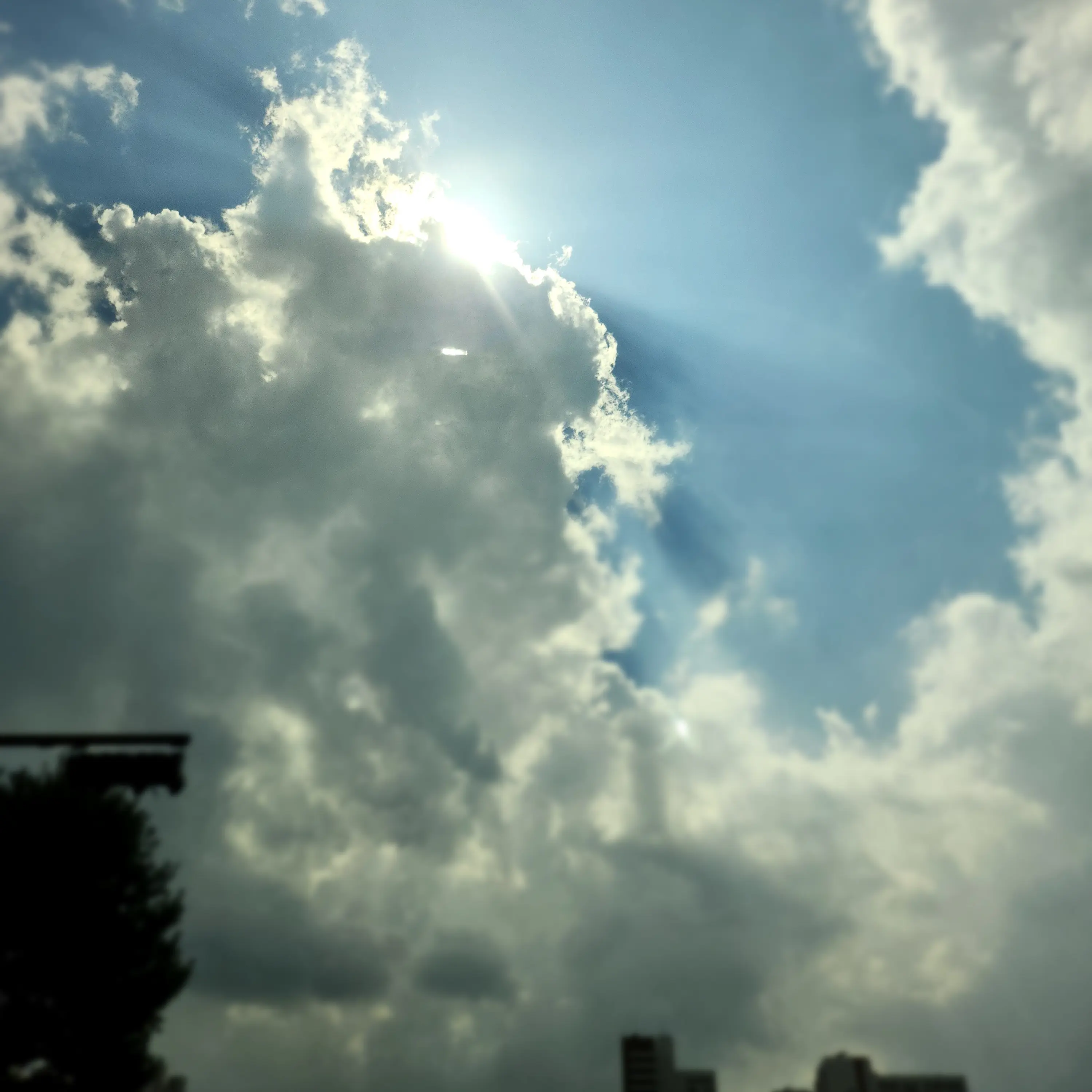 tt.ioo의 정 공룡