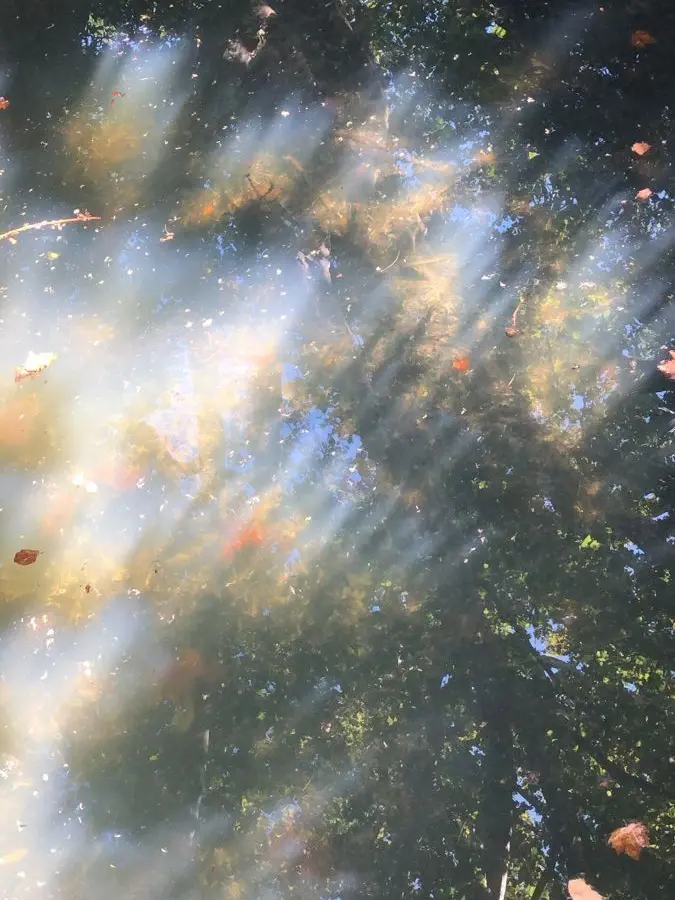 OOO_OOO_O의 好きだから、監禁させて