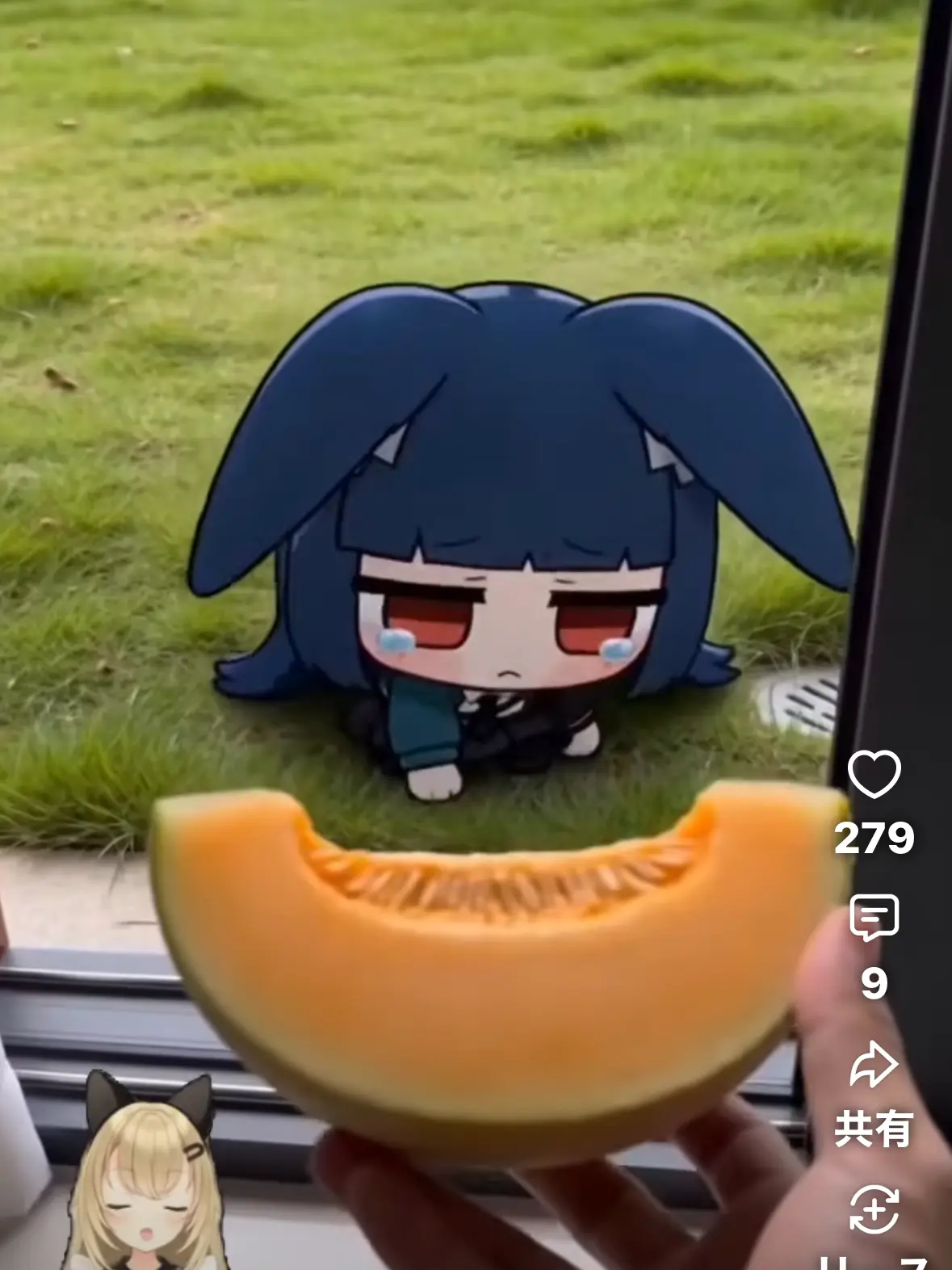 MeanCap2872의 チビたちと生活しろー