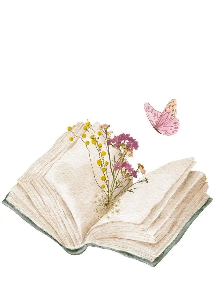 CleanMule0855의 ちちんぷいぷい🪄