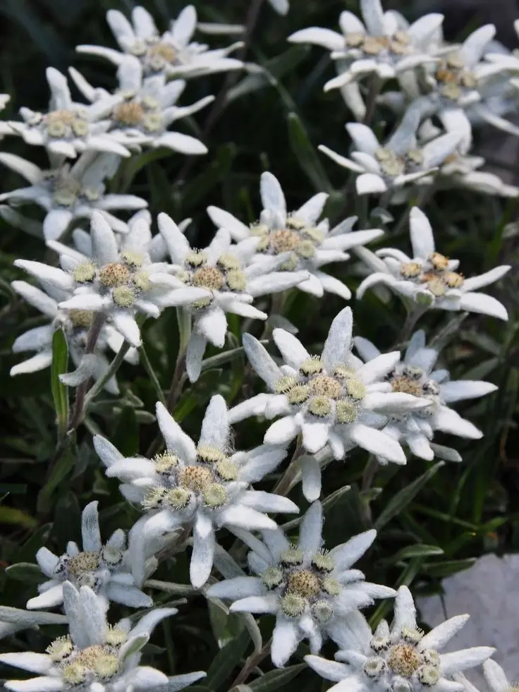 HumaneCrumb4436의 전세사기를 당했다..