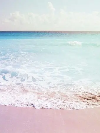 flower_28의 春光 ✧