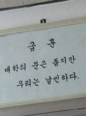 Sleepgroundisgod의 하늘고래 기숙사대학교