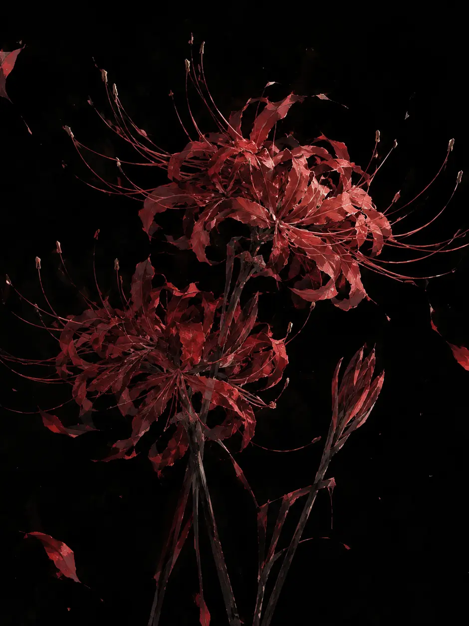 DeafMudi1778의 Red Spider Lily