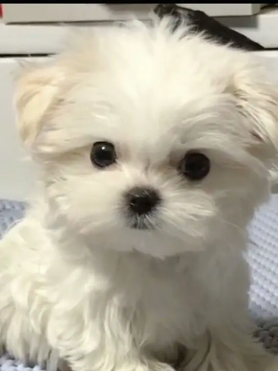 Yarlu의 김규빈
