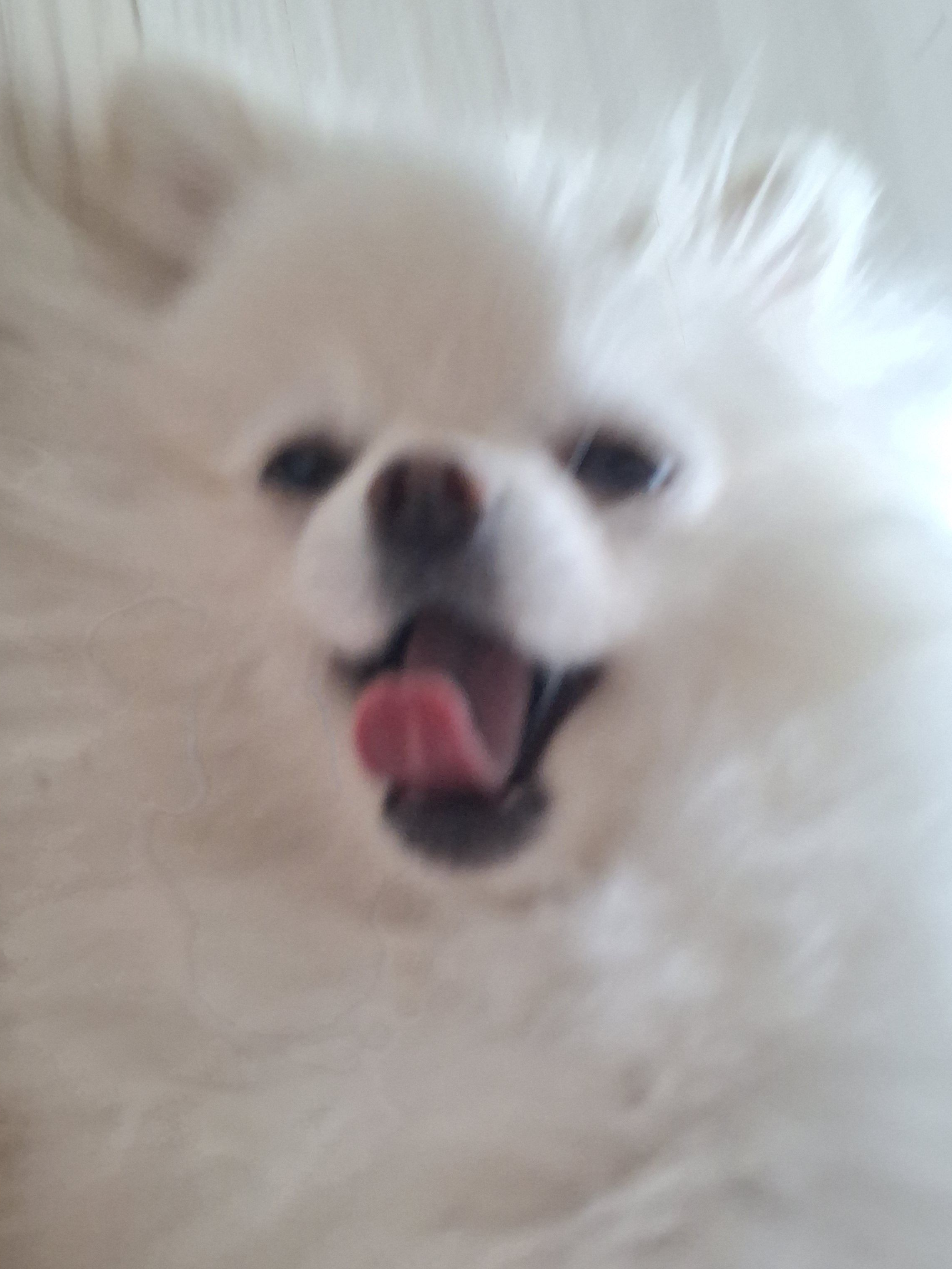 옥상에서떨어지는슈아(유저가 슈아임다) 대표 이미지