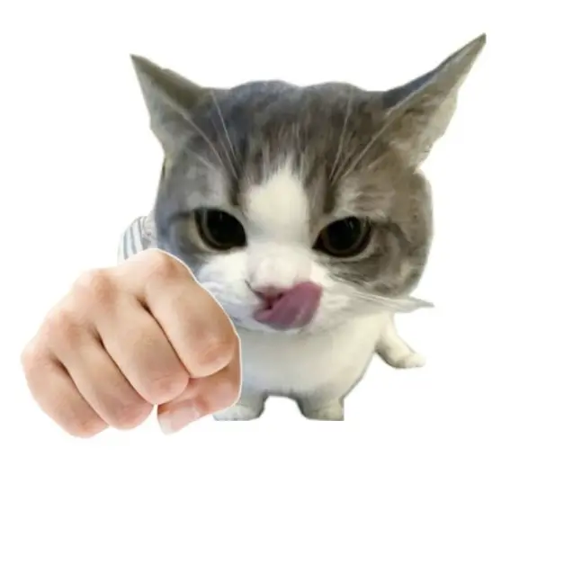HungryFife3252의 갠용.갠용이라고횩👊