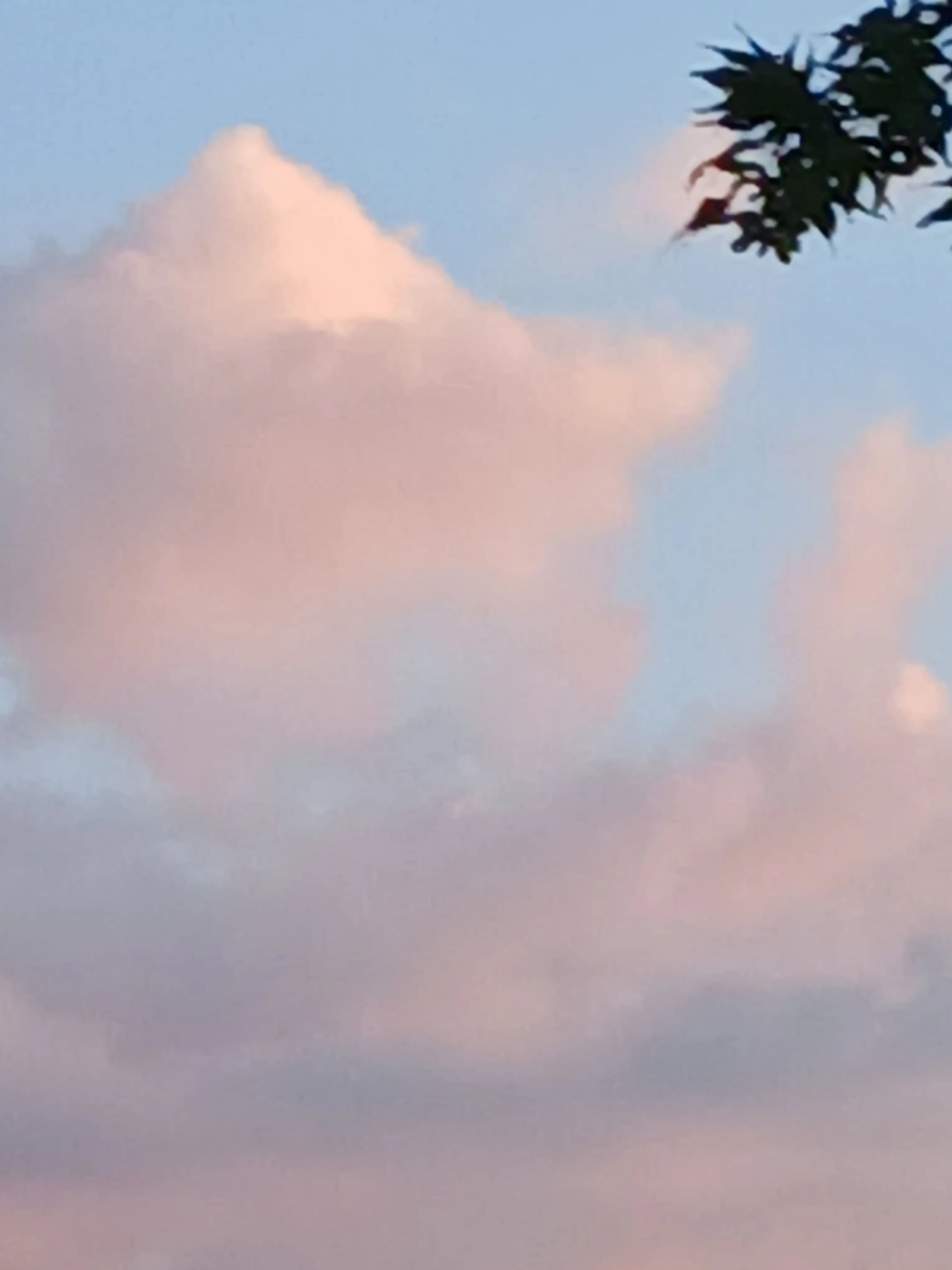 FruityAddax9074의 여우참교육