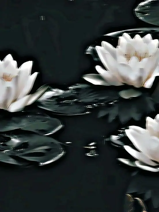BroadLily3962의 ─