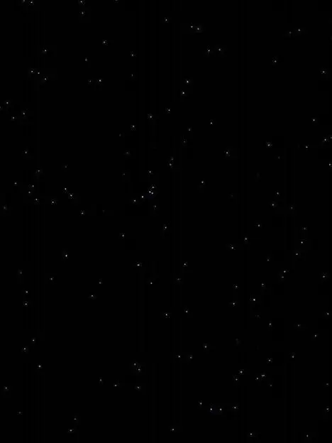 HonestCough9473의 아너 그녀들의 법정