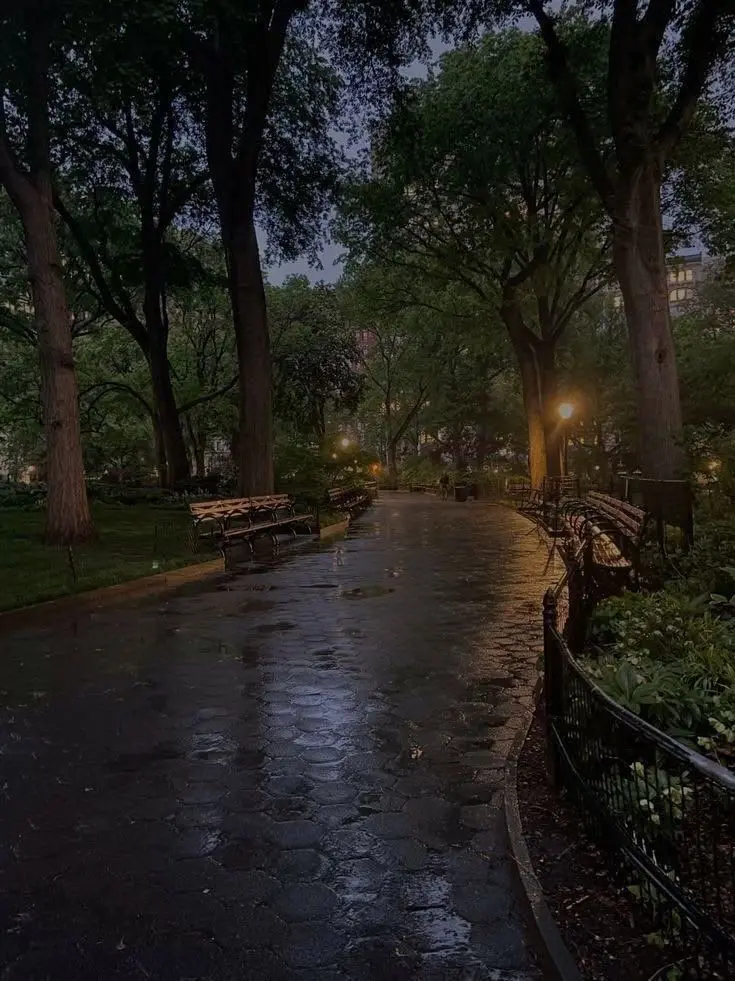 OOO_OOO_O의 混濁への落下