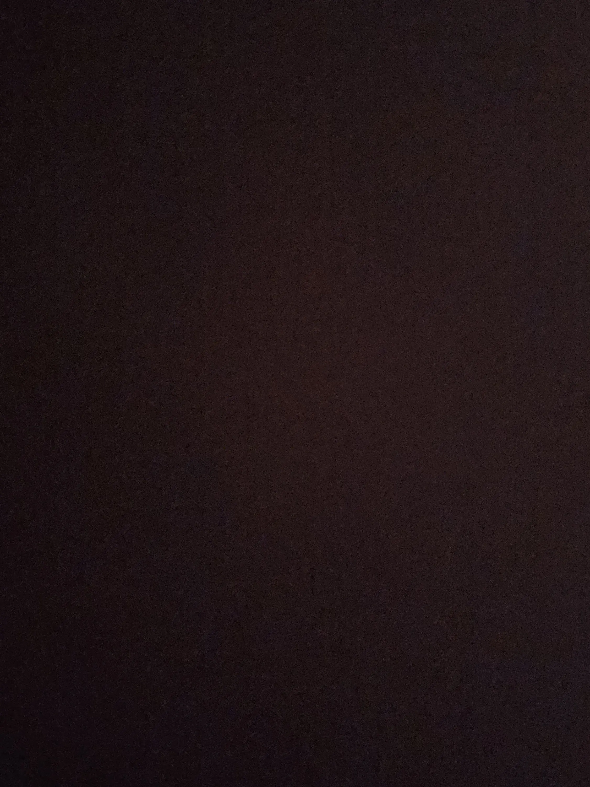 ColdJoy0066의 고양이들의 세계