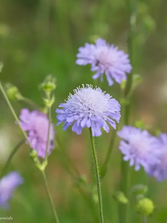 PlaidPlate8765의 0107