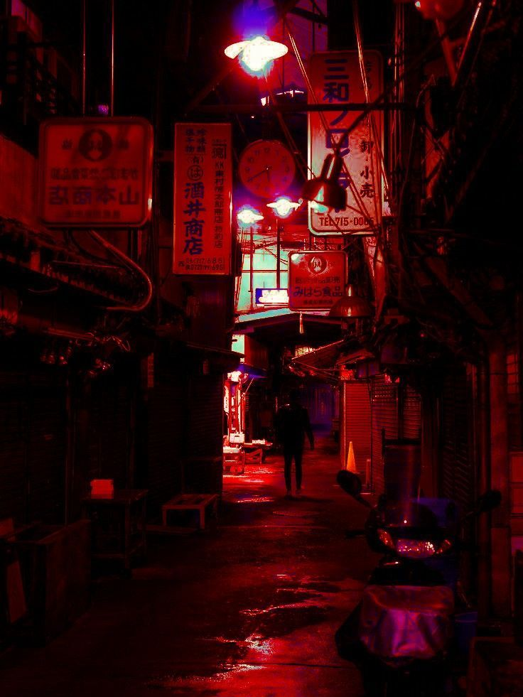 1215 대표 이미지