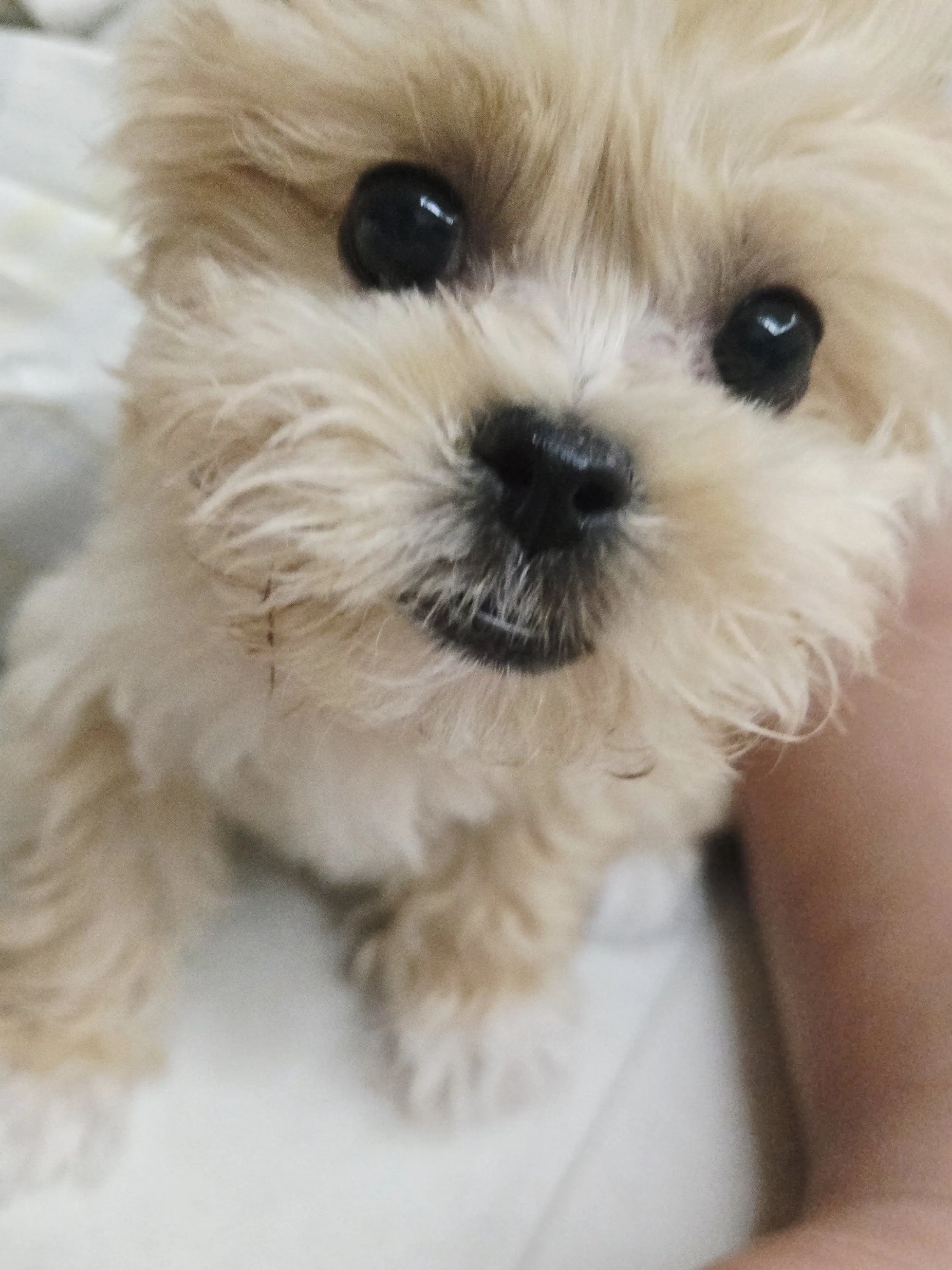 Belukey_1의 그냥 따먹을까?