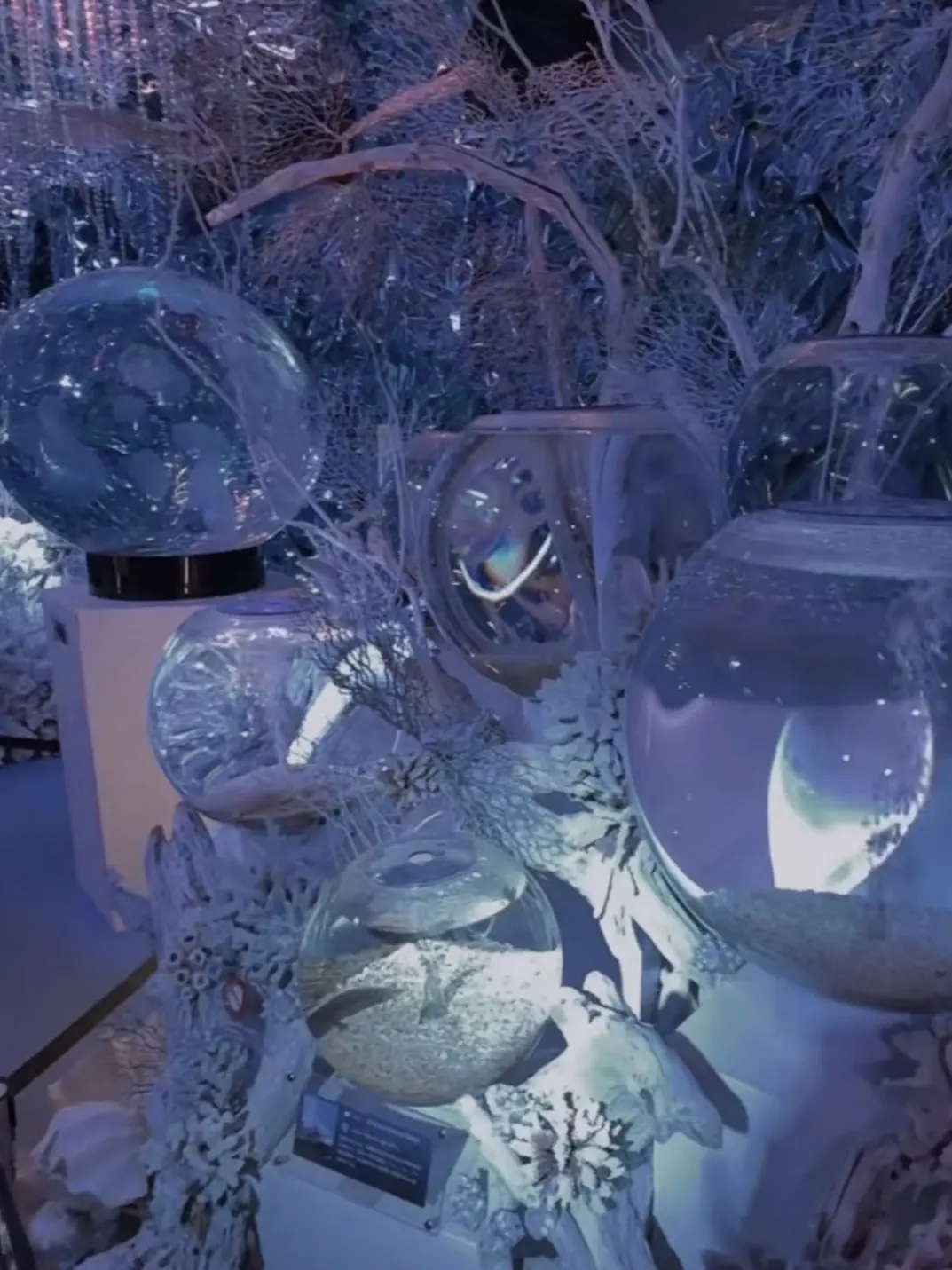 kaibutu4의 眩しいね