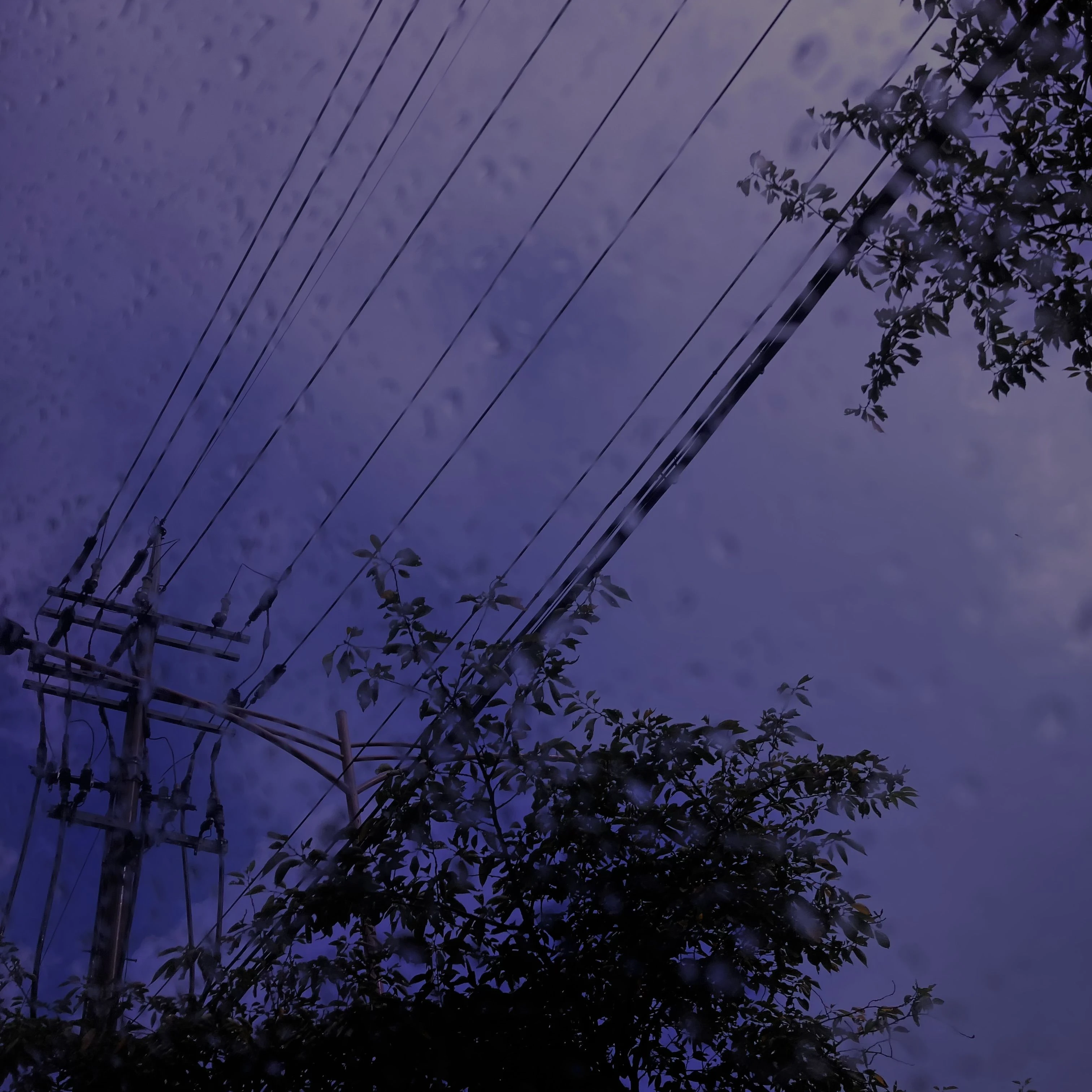 내 옆자리, 까칠한 친구🥬