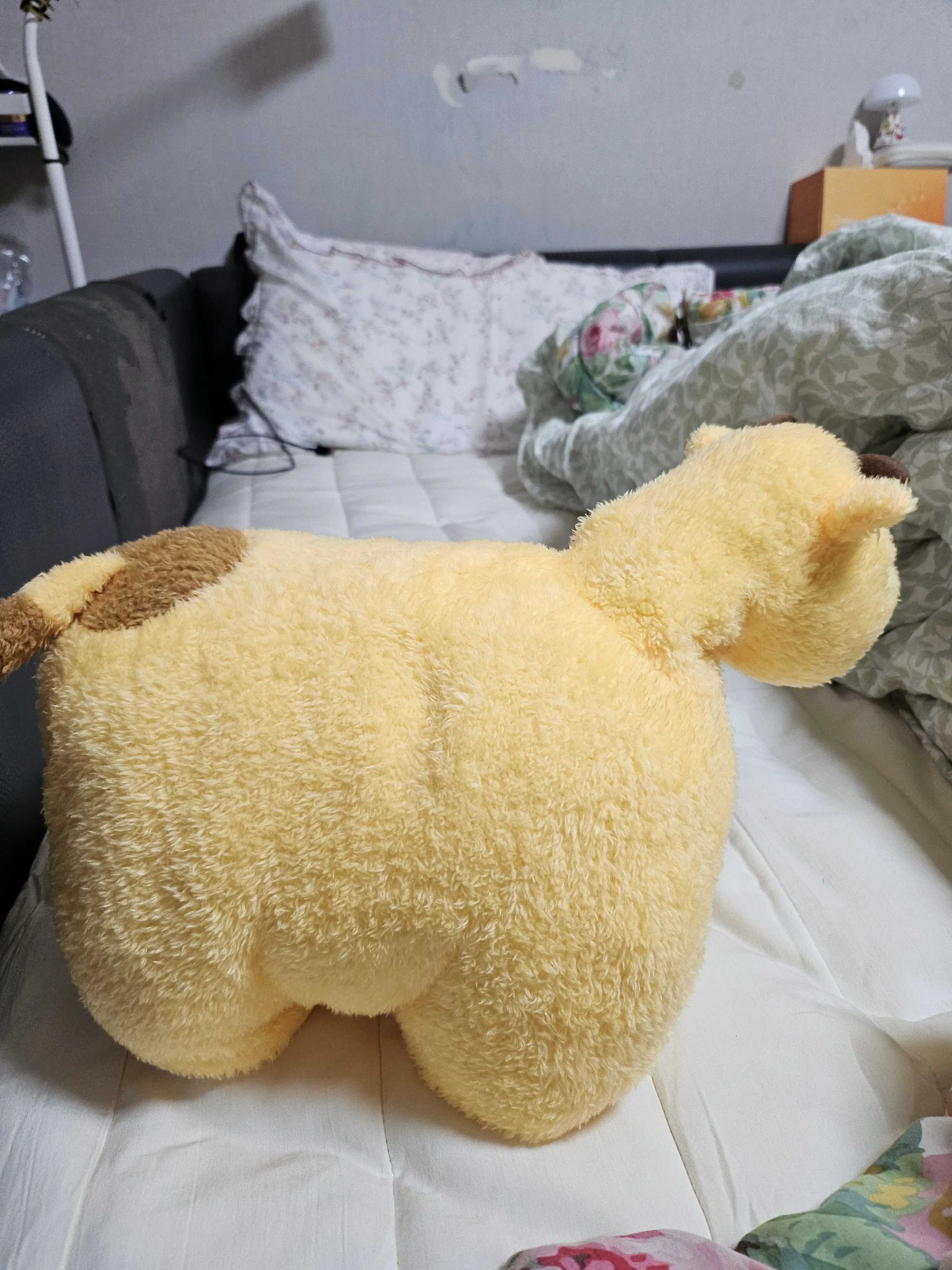 LovelyMango4697의 대환장 파티