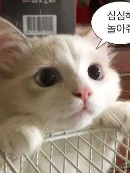 Mionoo의 남자애들 사촌 동생 등장!