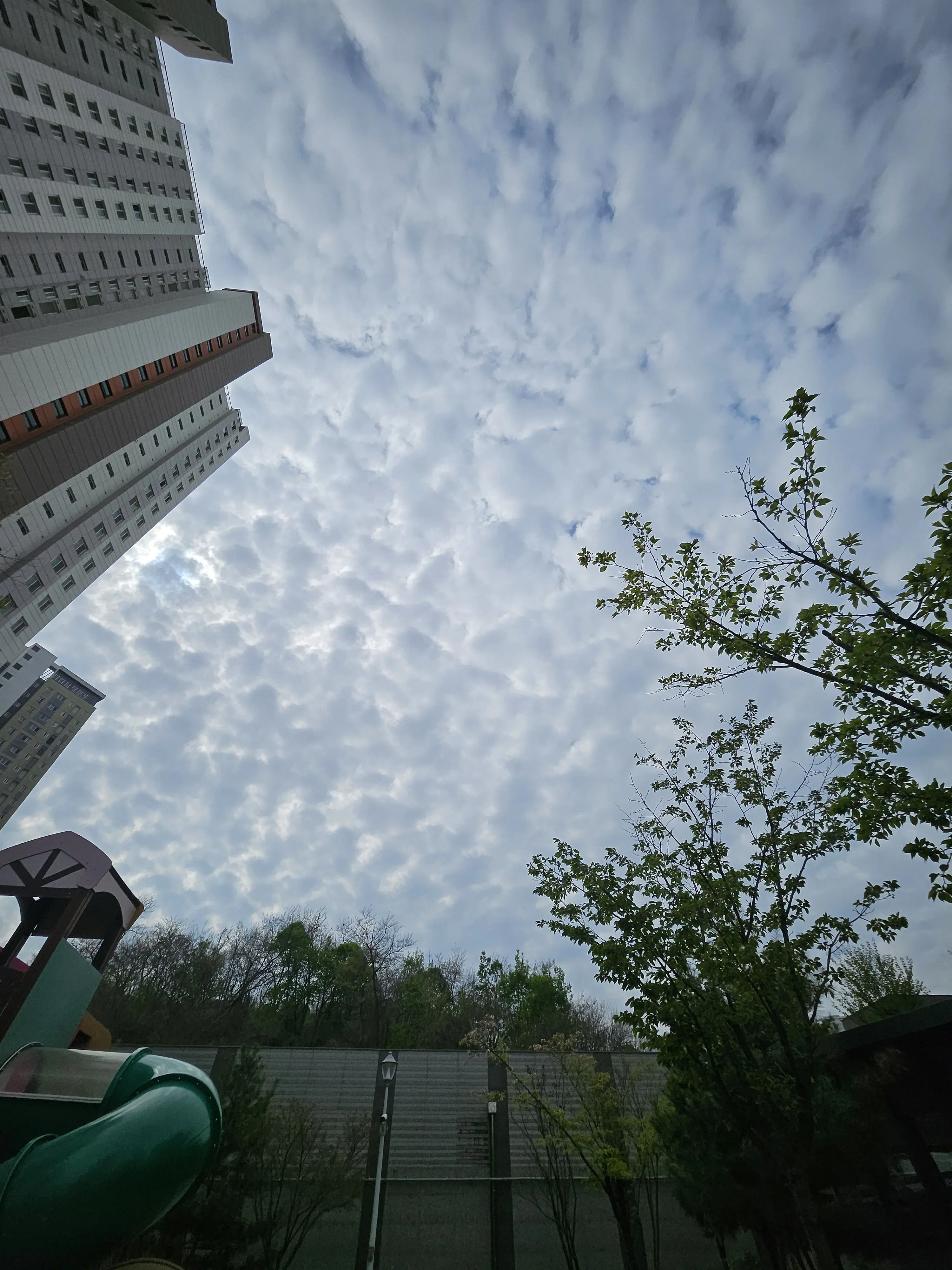 LivelySun4003의 오해로 틀어진 우리의 관계_🩵&💜