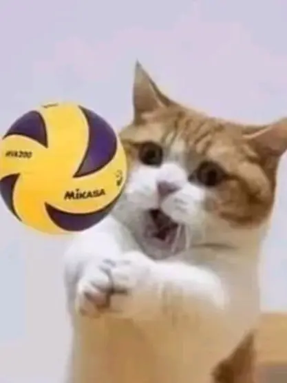 TidyPhoto6595의 쌍디들