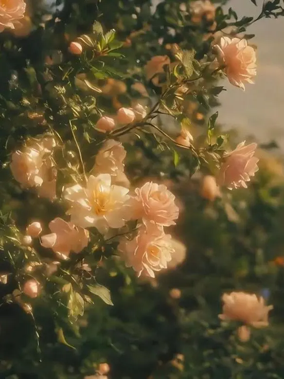 Eliteshn81의 고귀하신 우리 도깨비님들,