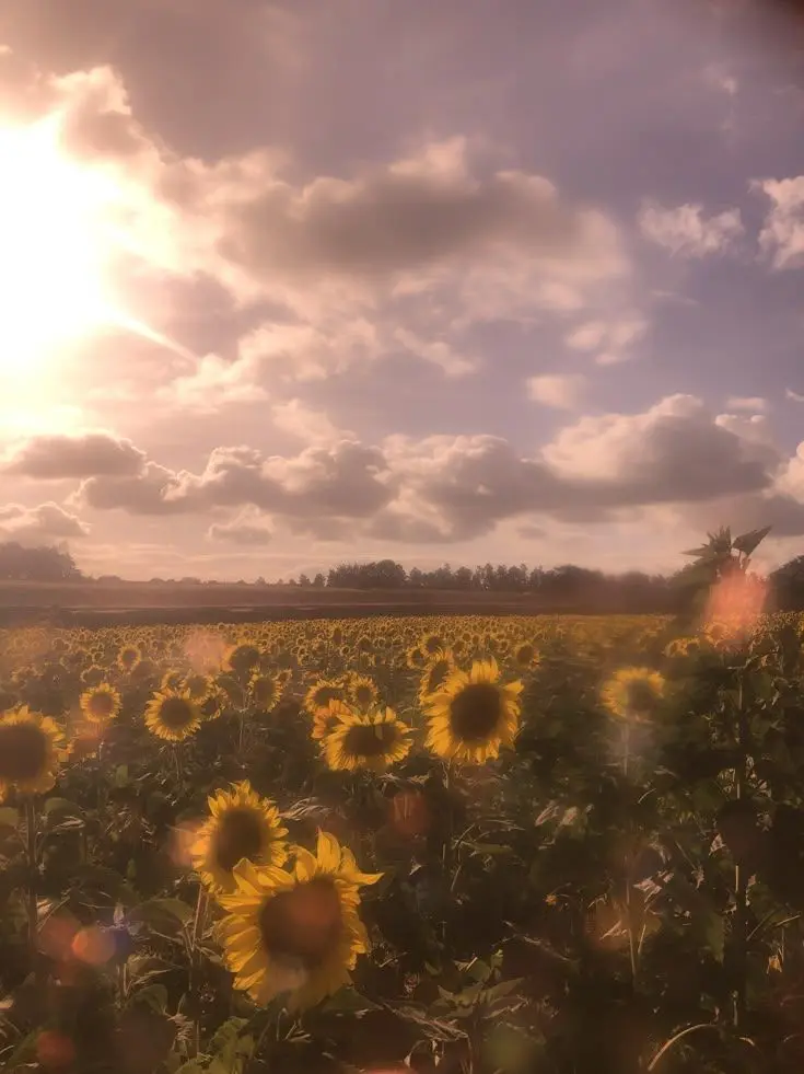 3000000의 학교 쌤들