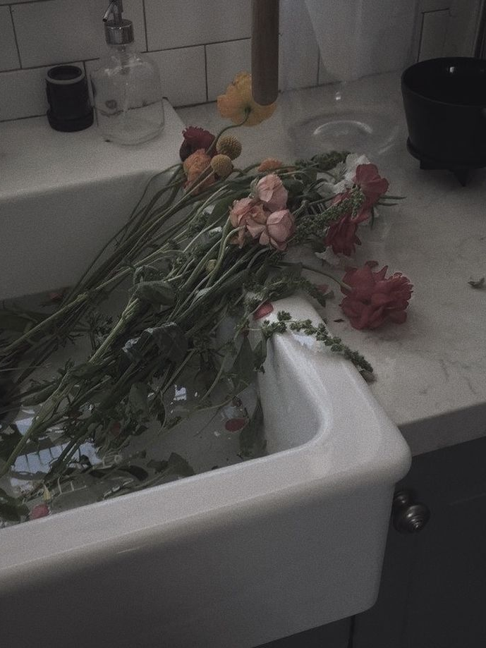落花 대표 이미지