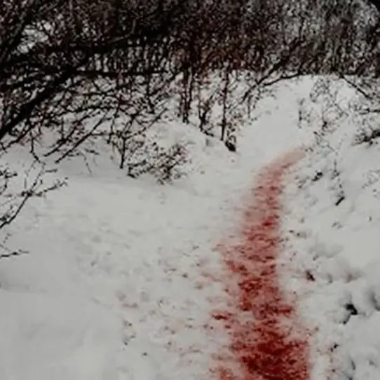 hghhhhyyy의 ○o。.