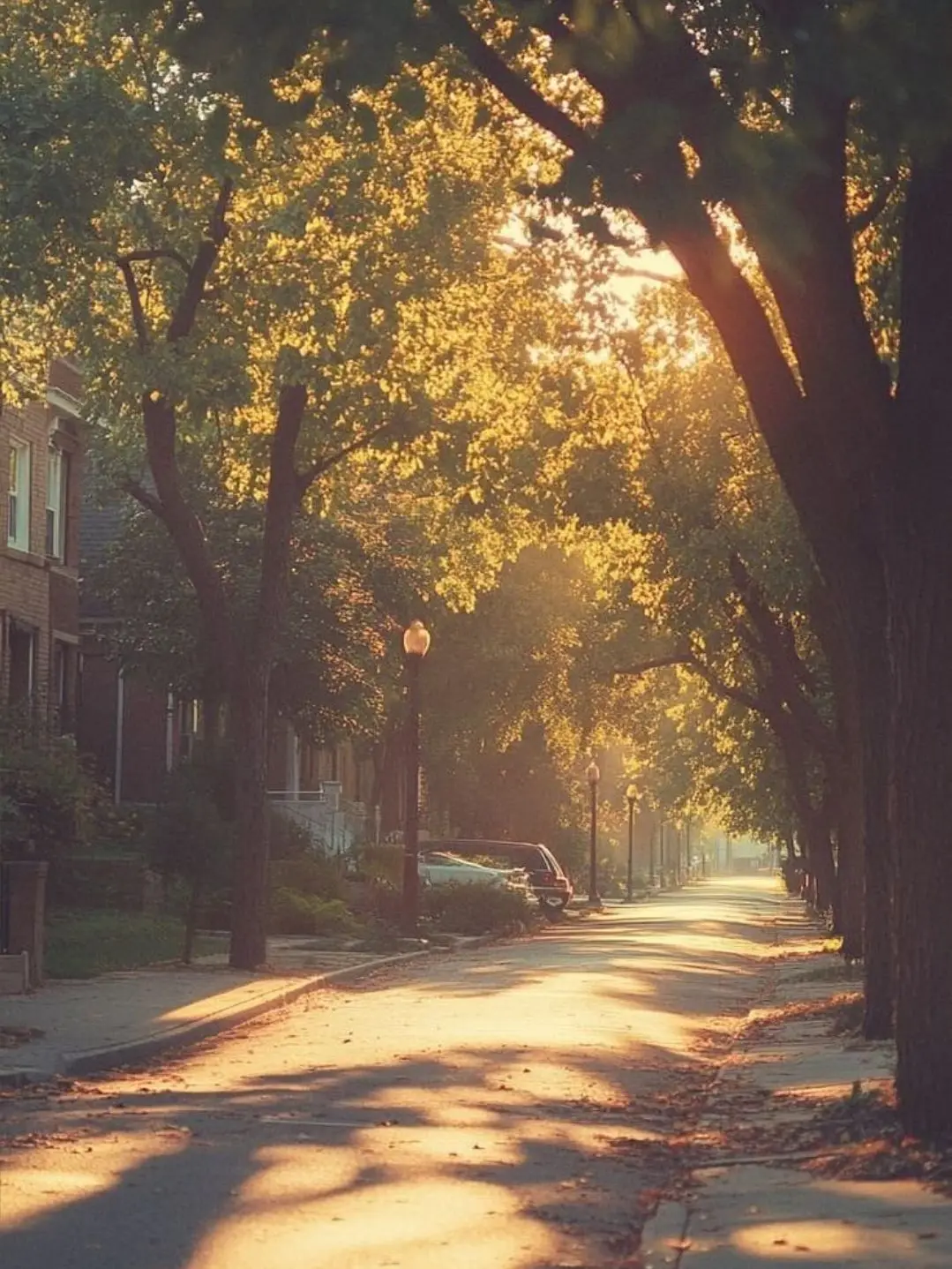 rainy_day.1221의 1215