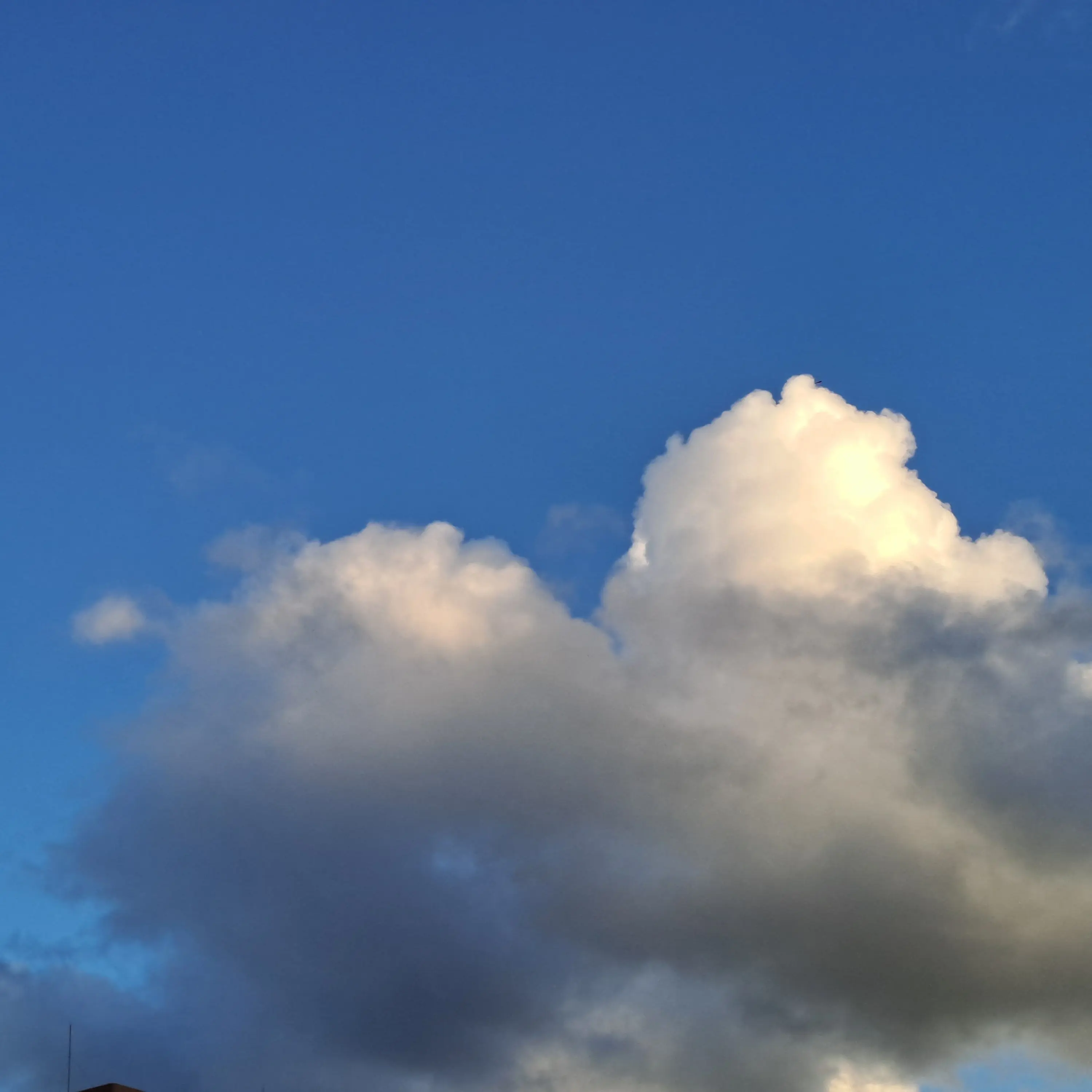 FlushSloth5471의 박가네