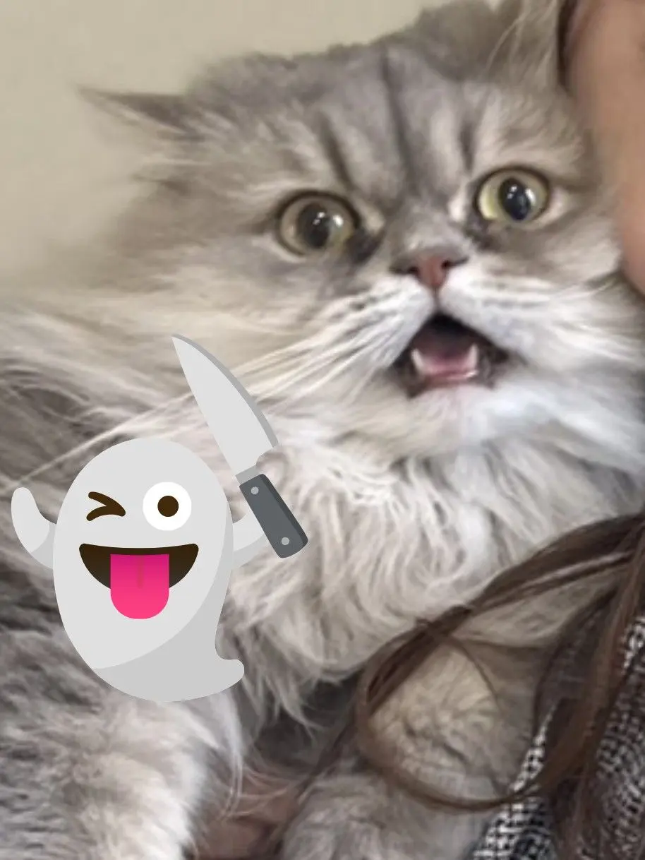 Suzu2434315-의 ビビロウ👻 🔪
