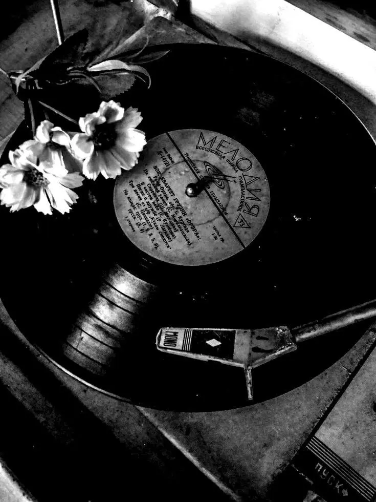 Kookie9791의 Still with you