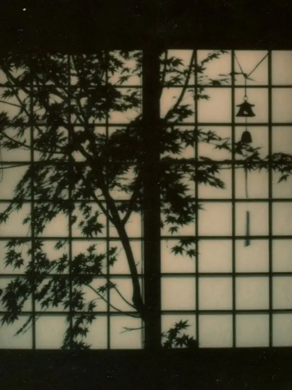 SGO__의 九十春光