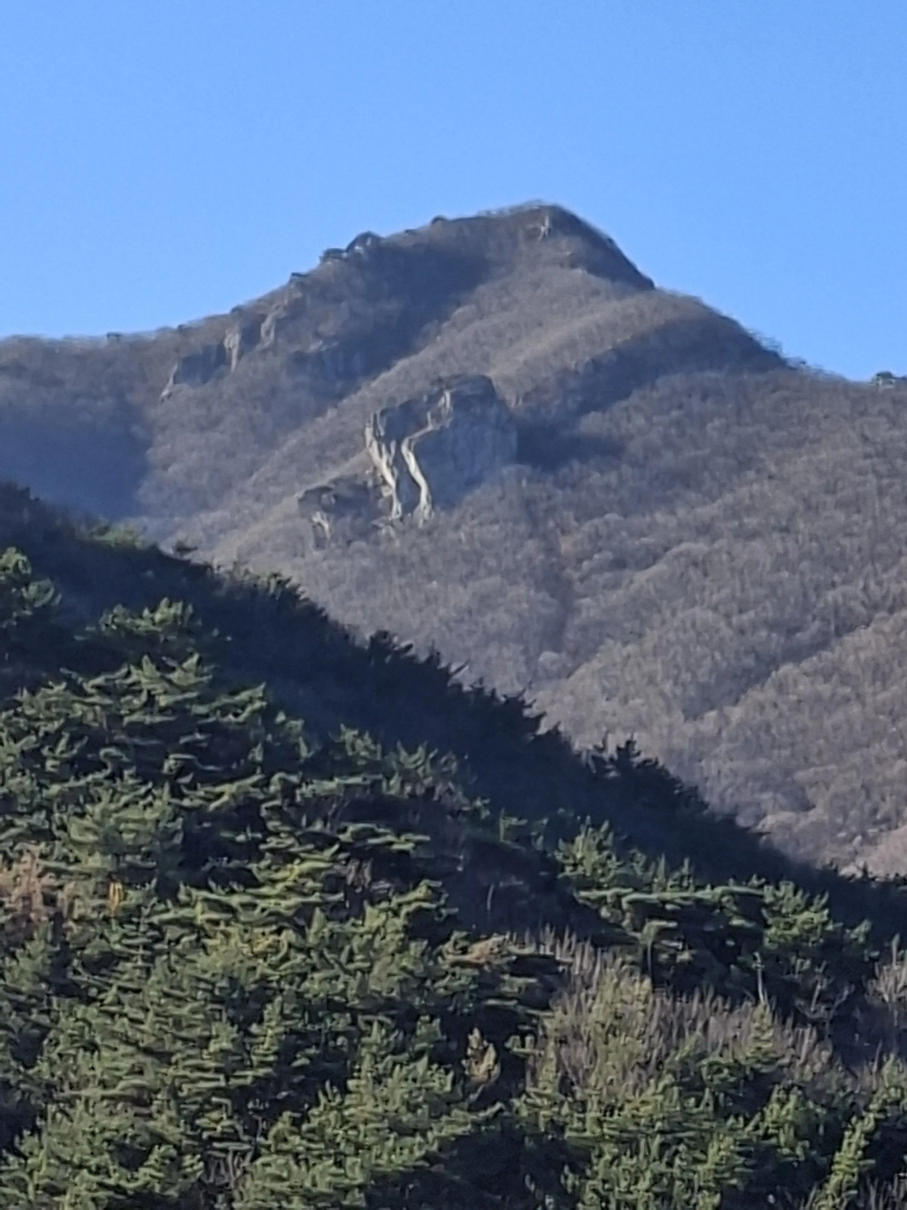 Sugarcreamcatcookie의 퍼리 연구소에서 살아남기-크리스마스