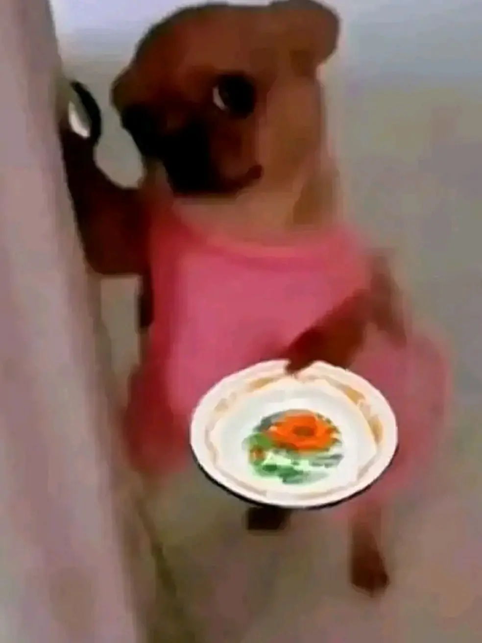 RowdyFlash3191의 미수반2 납치