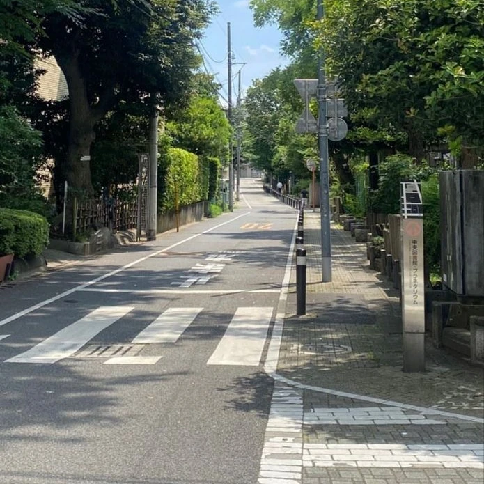 高校生最後の青春