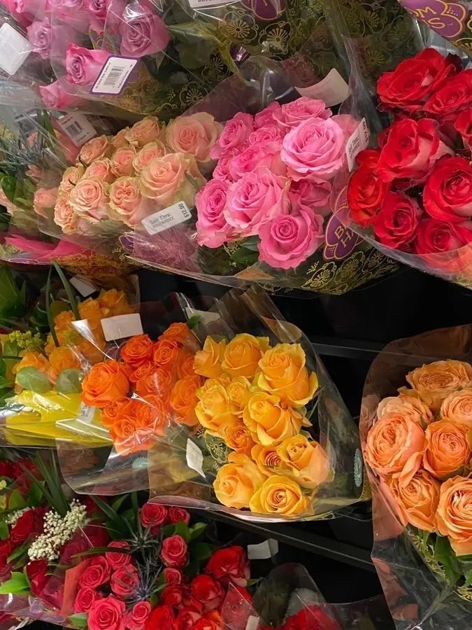 FluidLion9387의 ZAY WONDER