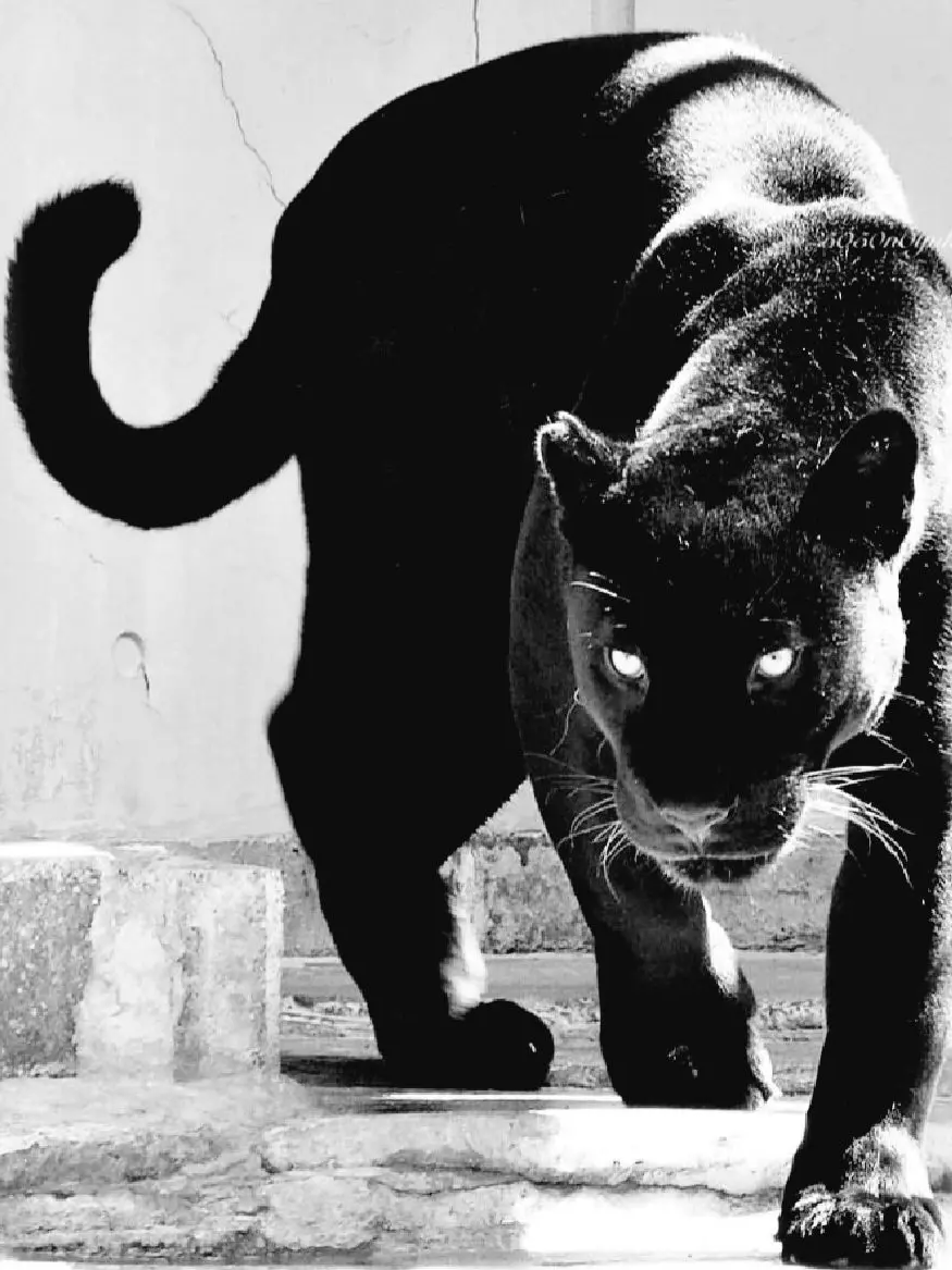 hhhhhhhh_0n의 Bargon