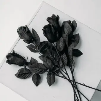 MildQuilt2708의 임주경을 안고 있는 모습을 들켰다.