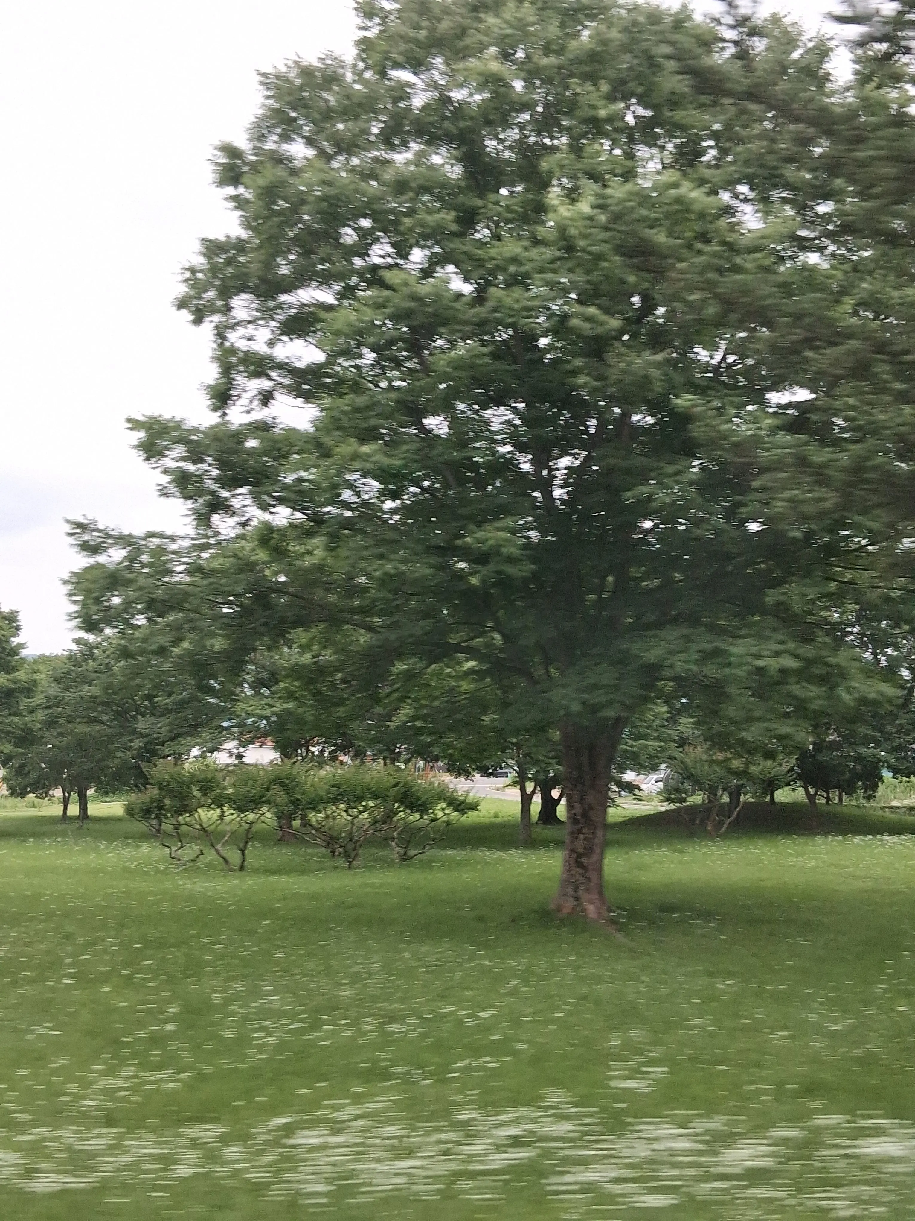UnfitBean4178의 ..내가 죽어서라도 복수할거야.