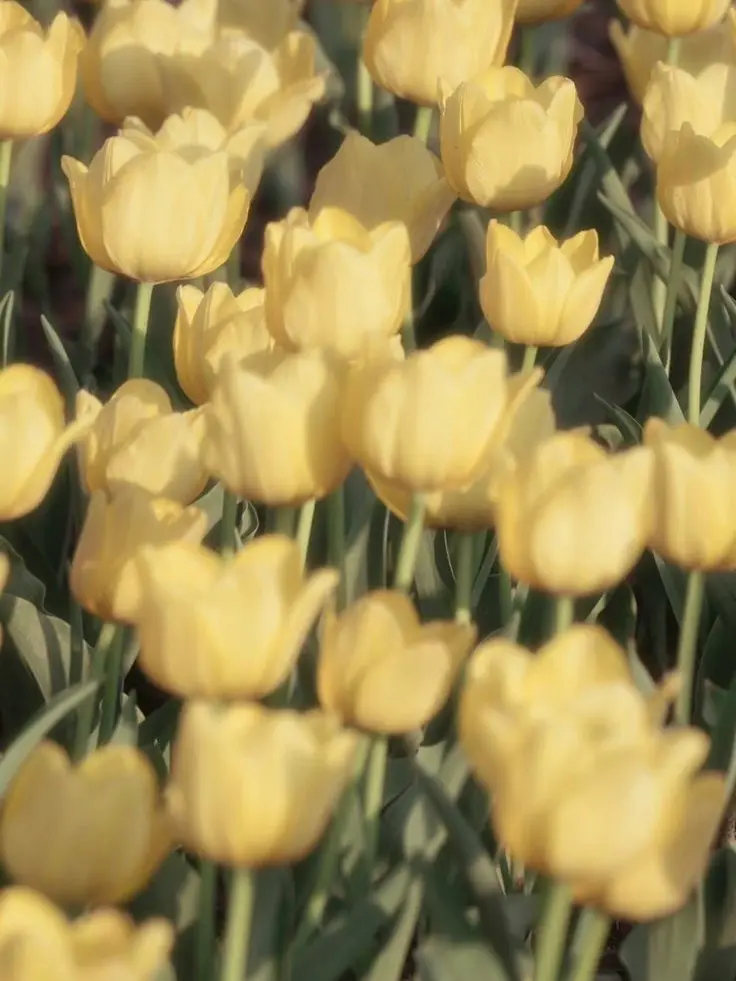 s.3yxn의 언더웹 각별